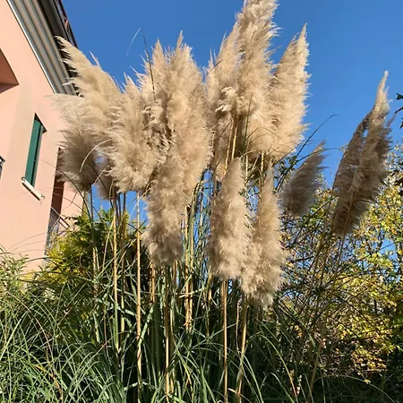 La Casa Al Mare Di Rossella Apartment Cavallino-Treporti