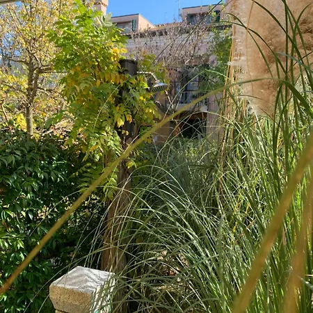 La Casa Al Mare Di Rossella Apartment Cavallino-Treporti